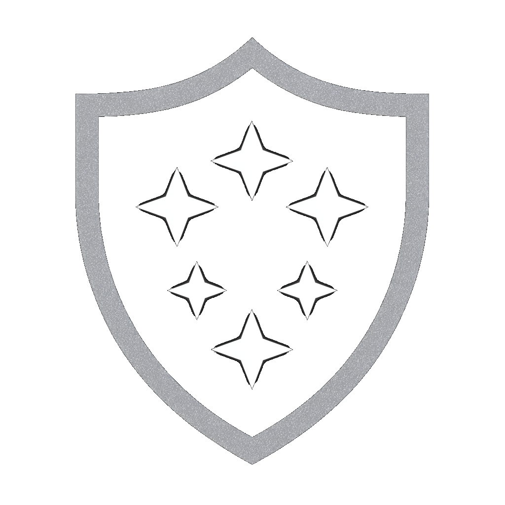 Shield Icon